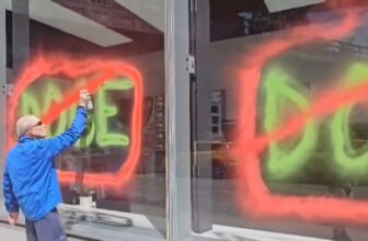 As Elon Tries to Keep away from the Highlight, Local weather Activists Overtly Vandalize Tesla Dealership